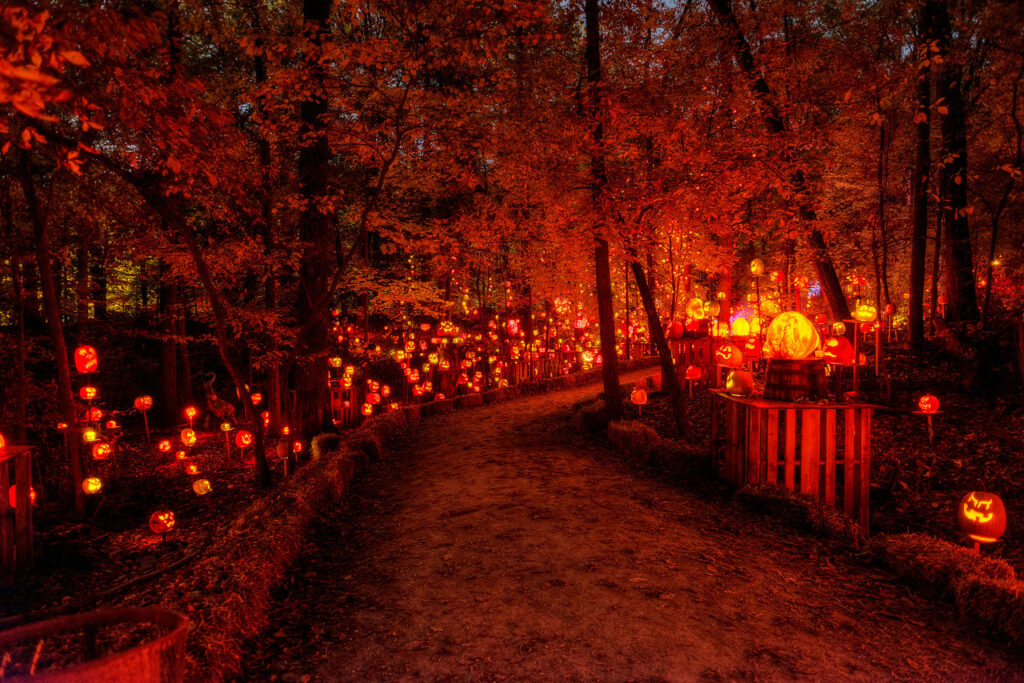 THE JACK O’LANTERN SPECTACULAR TLC Tours