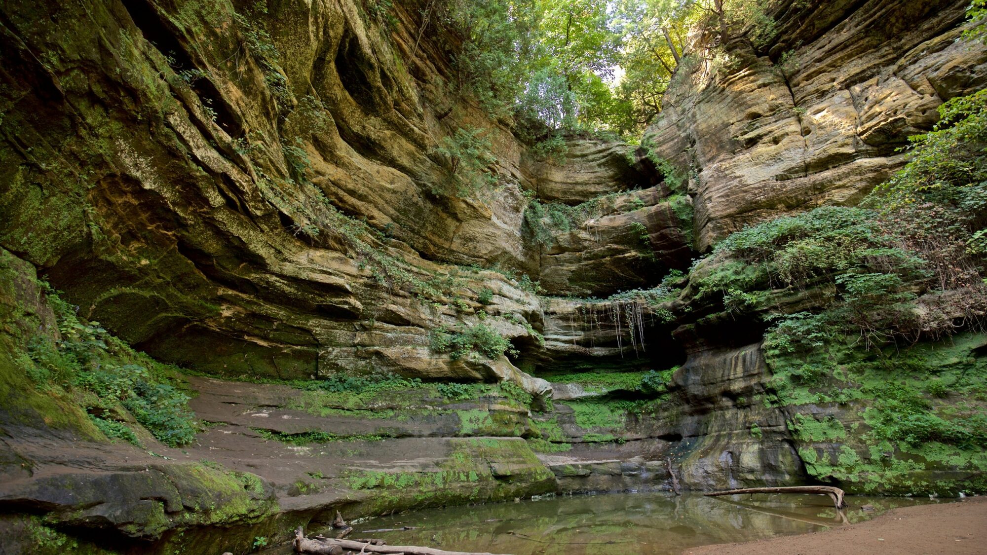 Starved Rock Beauty and Statler Brothers Tribute Concert TLC Tours